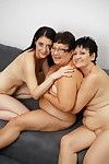 triple aantrekkelijk huisvrouwen met tevredenheid gezamenlijk